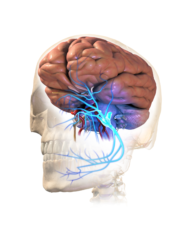 Interventional Pain Specialist in Hyderabad 